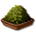 乾燥させた茶葉