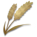 小麦