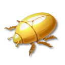 黄金のコガネムシ