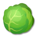 キャベツ
