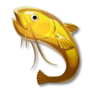黄金のナマズ
