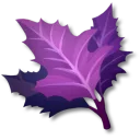 ネバネバ草