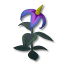 止血花