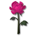 傷花