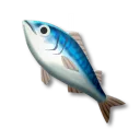 サバ