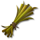 長い茎