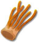 サッパリキノコ