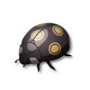 コインテントウムシ
