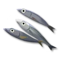 小魚
